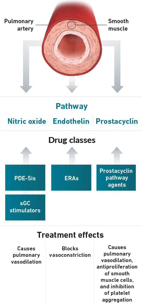 Pathways Diagram